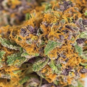 Alternative view of Grape Ape Strain