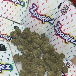 BUY ZPARKIEZ BACKPACKBOYZ ONLINE