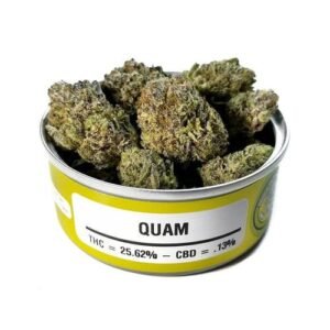 Quam Strain