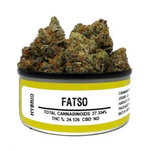 Fatso Strain
