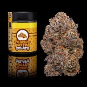 BUY PEANUT BUTTER BREATH BACKPACKBOYZ ONLINE