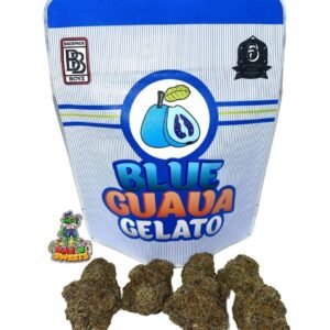 BUY BLUE GUAVA GELATO BACKPACKBOYZ ONLINE