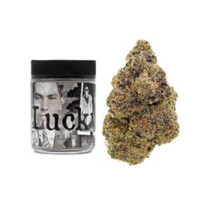 BUY LUCKY BACKPACKBOYZ ONLINE