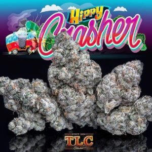 Buy Jungle Boys Hippy Crasher #3 Online