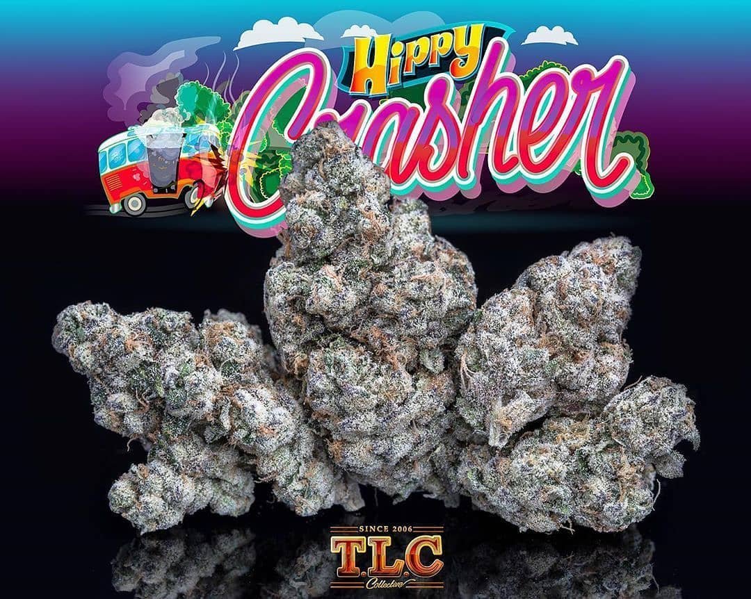 Buy Jungle Boys Hippy Crasher #3 Online