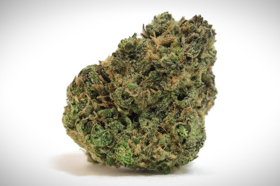 Buy Acapulco Gold strain Online