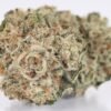 Buy Gorilla Glue #4 Strain Online