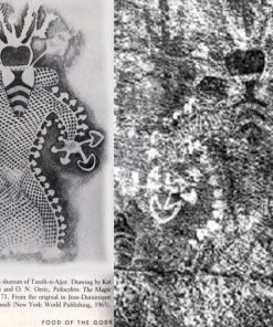 Entheogen Explosion Magic Mushrooms - Image 3