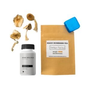 Alternative view of First Timer Magic Mushroom Kit: Psych 101 – An Introduction to Psychedelics