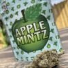 BUY APPLE MINTZ BACKPACKBOYZ ONLINE