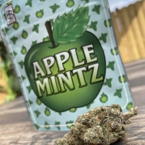 BUY APPLE MINTZ BACKPACKBOYZ ONLINE