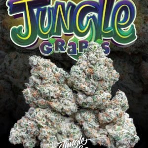 Buy Jungle Boys Grape Topanga Online