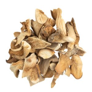 OYSTER DRIED MUSHROOM UK