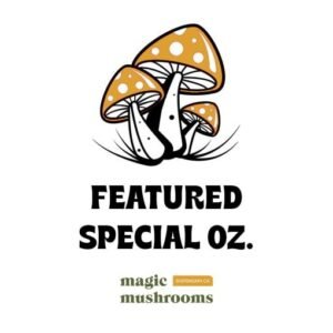 Alternative view of Featured Special ‘Oz’ Magic Mushrooms (28 grams)