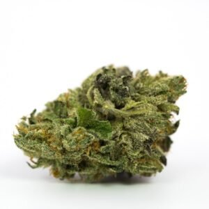 Master Kush Strain (aka High Rise, Grandmaster Kush)