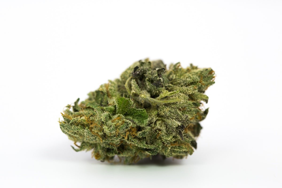 Master Kush Strain (aka High Rise, Grandmaster Kush)