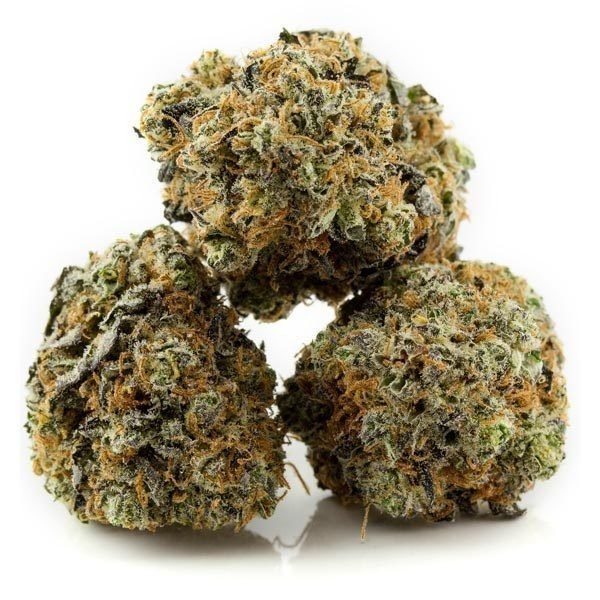 Cookie Monster Strain - Image 2