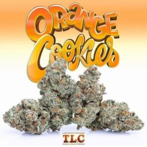 Buy Jungle Boys Orange Cookies Online