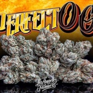 Buy Jungle Boys Perfect OG Online
