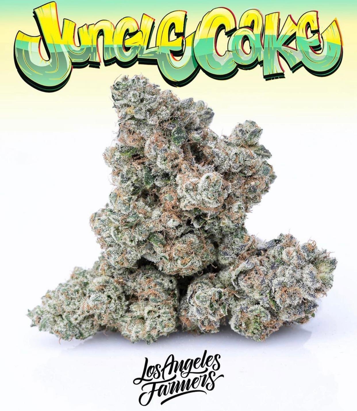 Buy Jungle Boys Jungle Cake Online