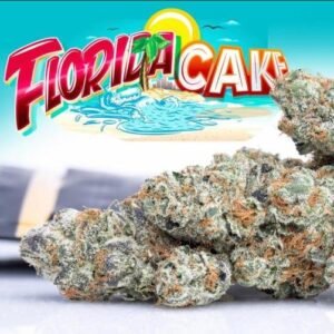 Buy Jungle Boys Florida Cake Online