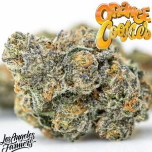 Alternative view of Buy Jungle Boys Orange Cookies Online
