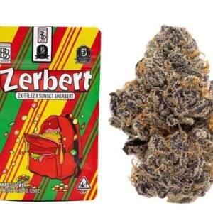 BUY ZERBERT BACKPACKBOYZ ONLINE