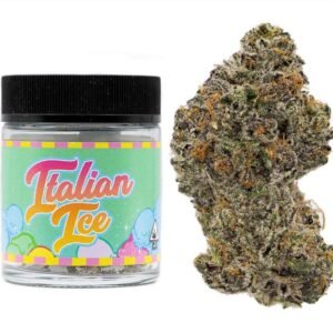 Alternative view of BUY ITALIAN ICE BACKPACKBOYZ ONLINE