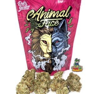 Buy Animal Face Strain Online