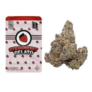 Alternative view of BUY STRAWBERRY GELATO BACKPACKBOYZ ONLINE
