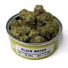 Black Water OG Strain