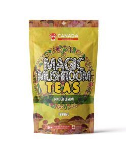 Alternative view of USA Mushrooms Shroom Tea | 1000MG | Ginger Lemon