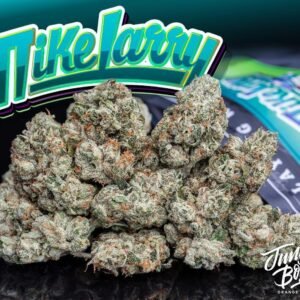 Buy Jungle Boys Mike Larry #6 Online