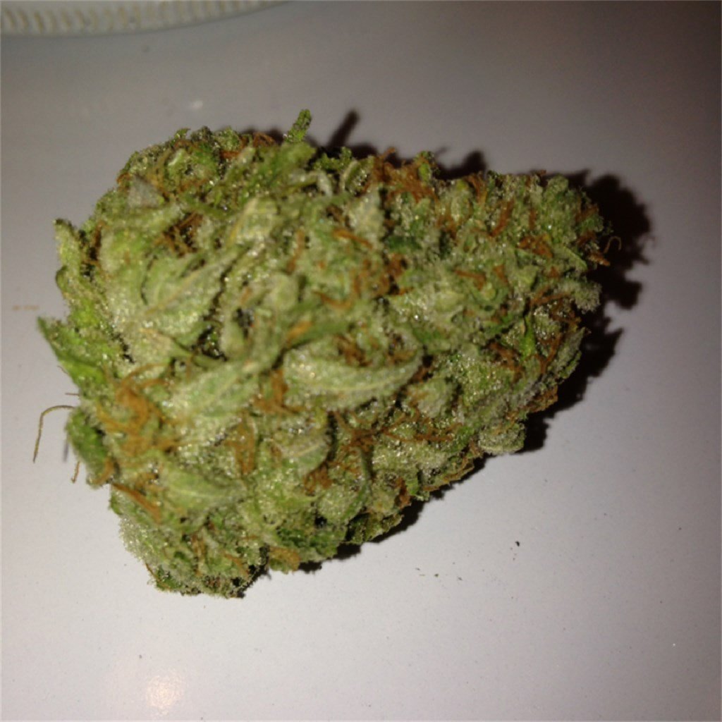 Buy Cinex Strain Online