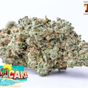 Alternative view of Buy Jungle Boys Florida Cake Online