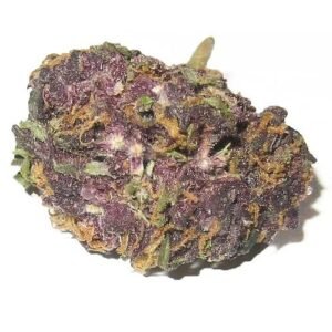 Alternative view of Grand Daddy Purple
