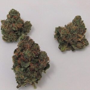 Buy Hash Plant Strain Online