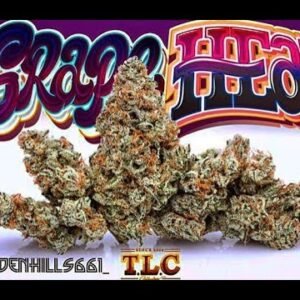 Alternative view of Buy Jungle Boys Grape Head Online