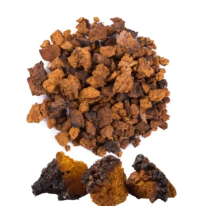 CHAGA DRIED MUSHROOM ONLINE UK