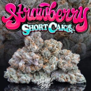 Buy Jungle Boys Strawberry Shortcake Online
