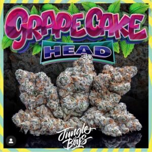 Buy Jungle Boys Grape Head Online