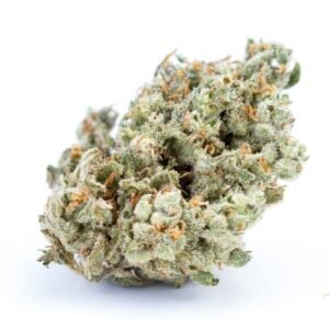Buy Jack Herer strain Online