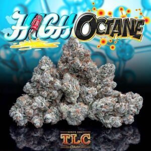 Buy Jungle Boys High Octane Online