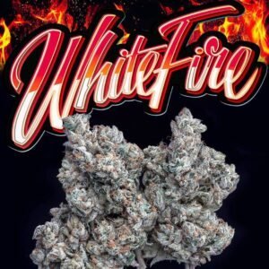 Buy Jungle Boys White Fire Online