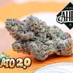 Buy Jungle Boys Gelato Online