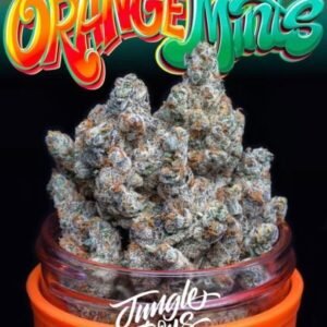 Buy Jungle Boys Orange Mints #6 Online