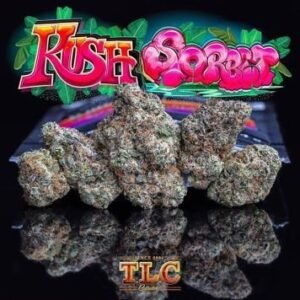 Buy Jungle Boys Kush Sorbet #2 Online