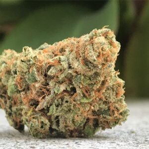 Buy Maui Wowie strain Online