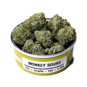 monkey sours