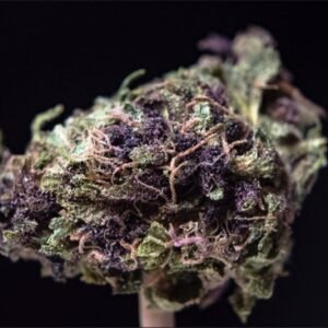 Cookie Monster Strain